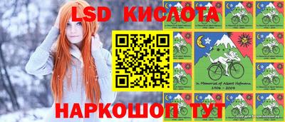 Альфа ПВП Краснознаменск