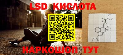 Альфа ПВП Краснознаменск
