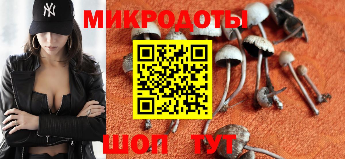 Ишим  Псилоцибиновые грибы Cubensis  Вход с VPN 