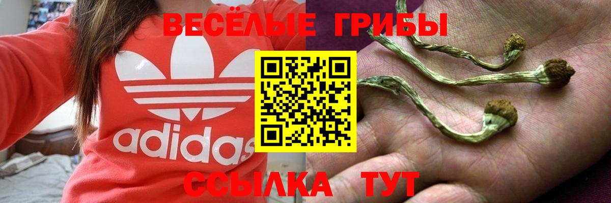 Псилоцибиновые грибы Cubensis Ишим